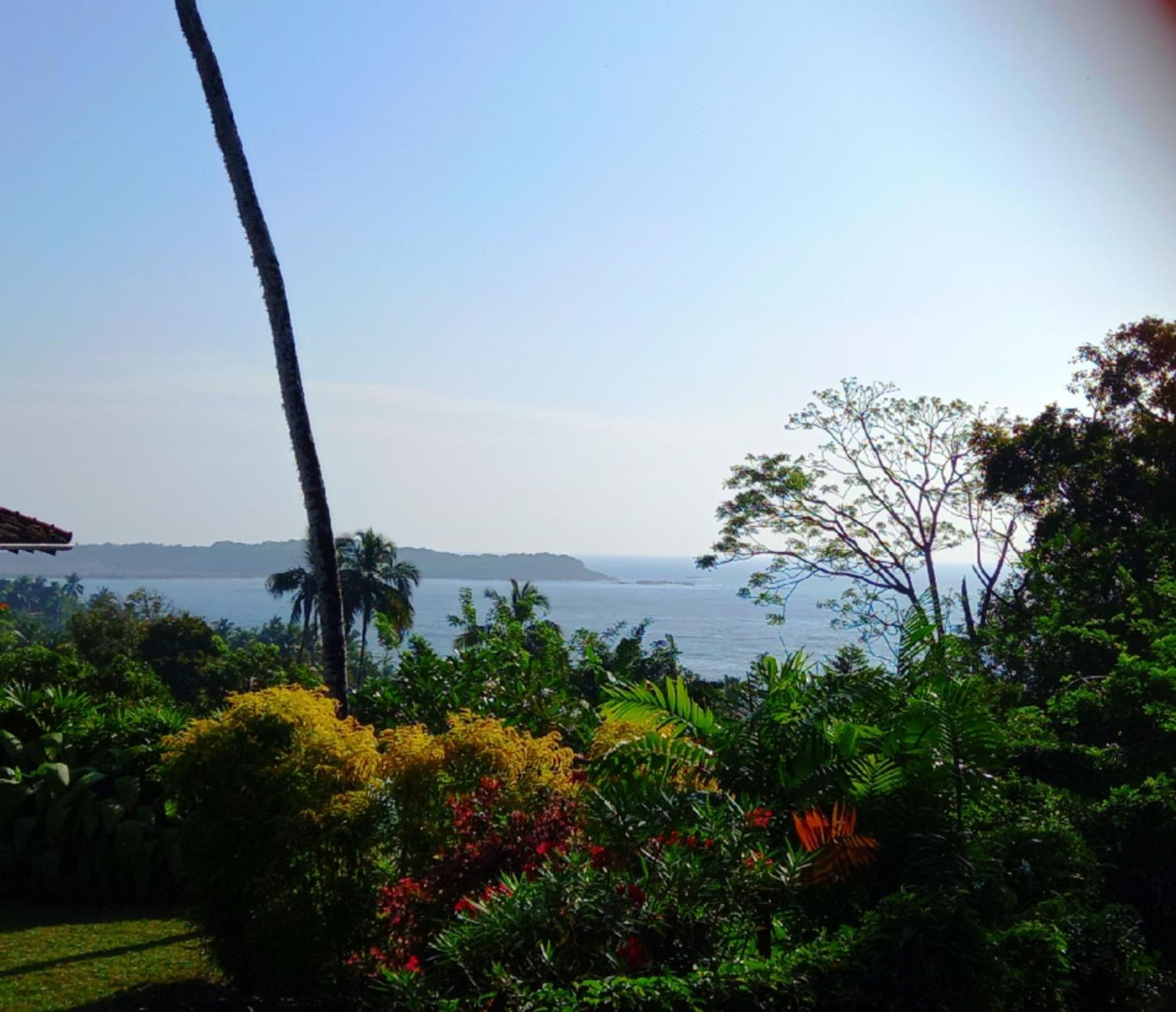 Blue Ocean Tree House Hiriketiya Villa Dikwella Eksteriør bilde