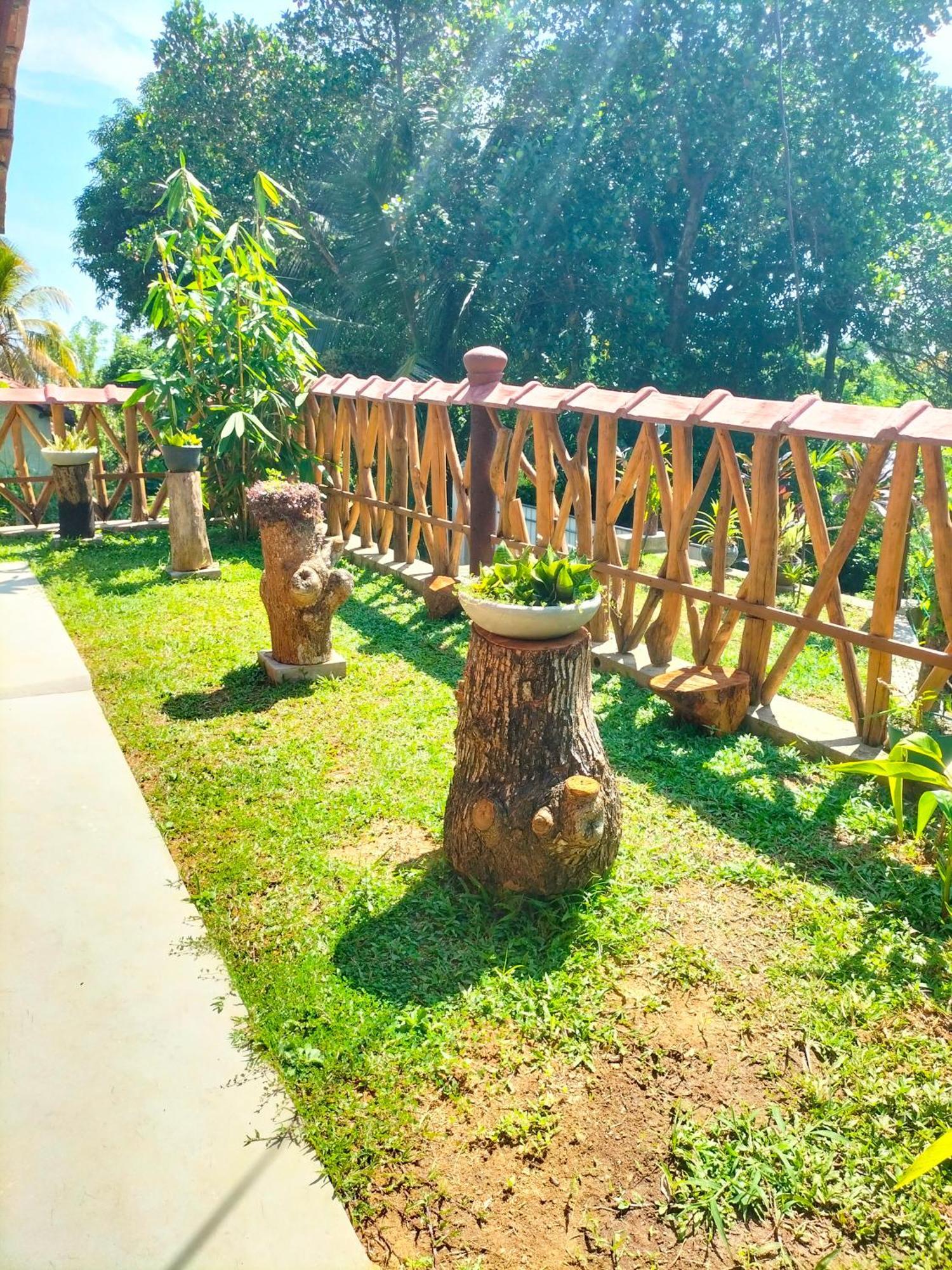 Blue Ocean Tree House Hiriketiya Villa Dikwella Eksteriør bilde
